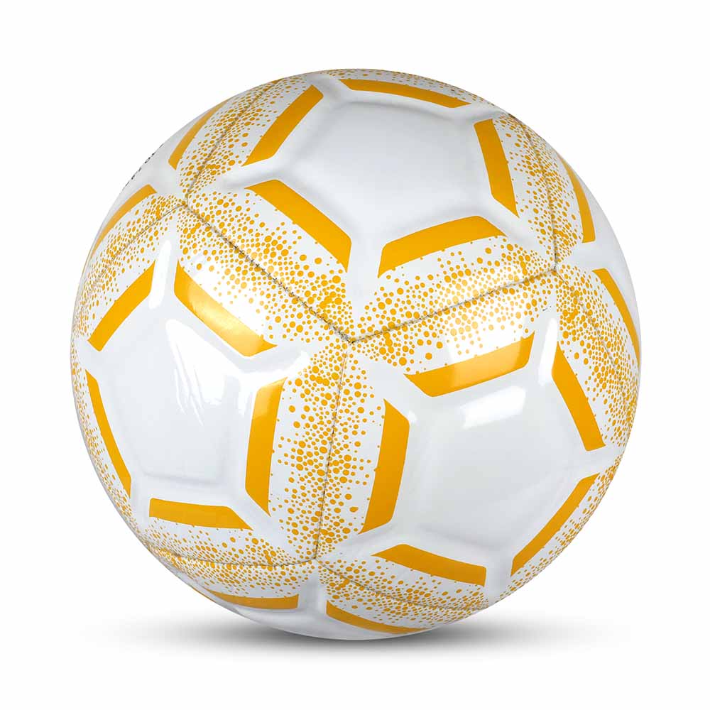 Penta-One 12-Panel Training Football