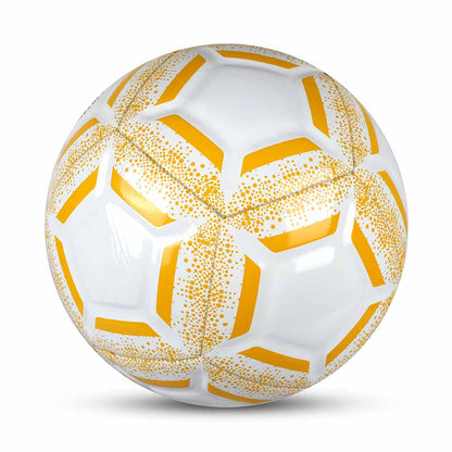 Penta-One 12-Panel Training Football