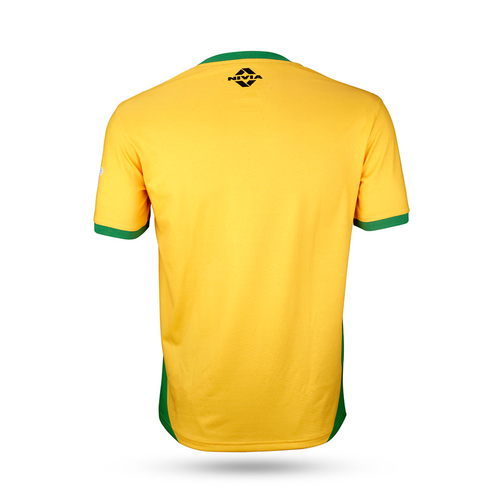 BRAZIL LEGENDS JERSEY
