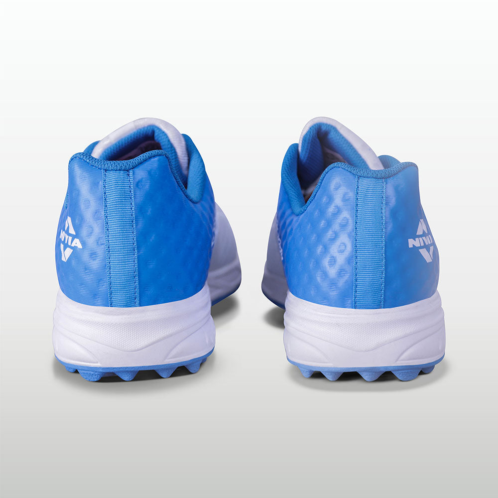 Aster Blue