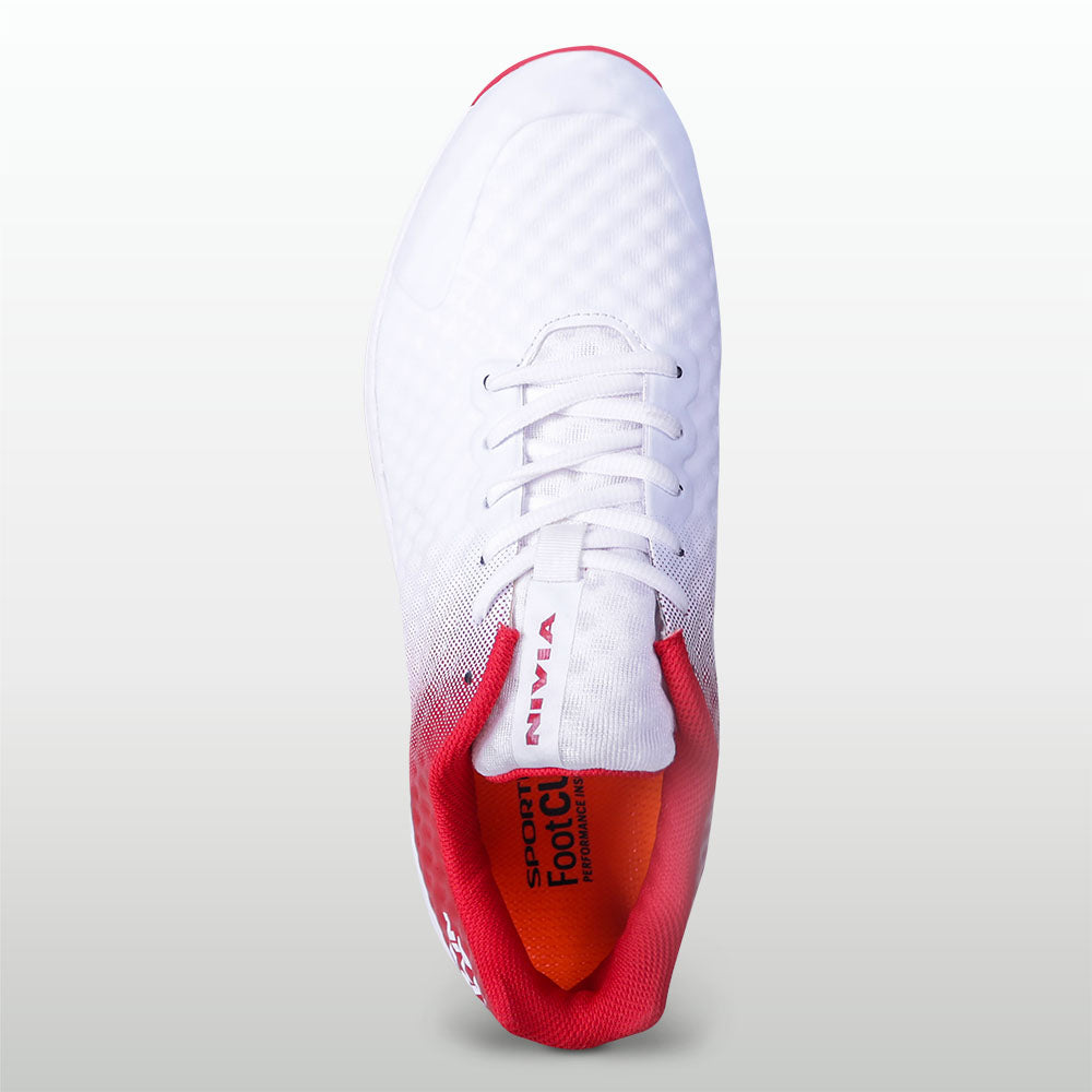 Aster Red