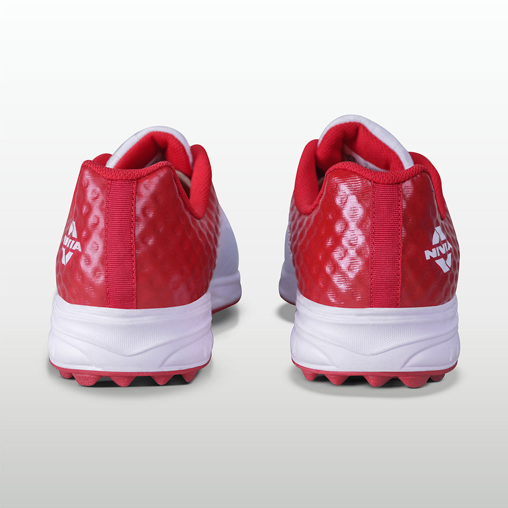Aster Red