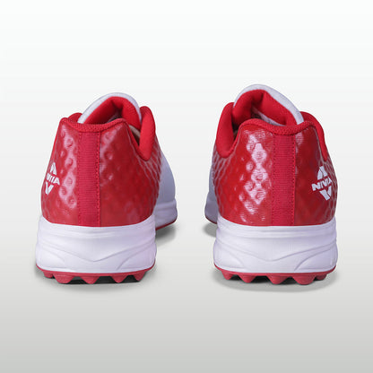 Aster Red