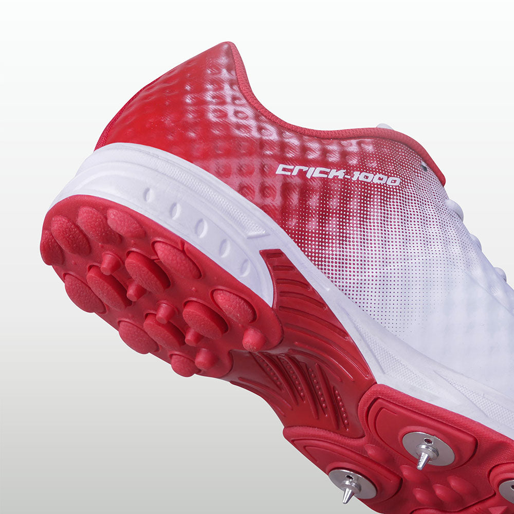 Aster Red