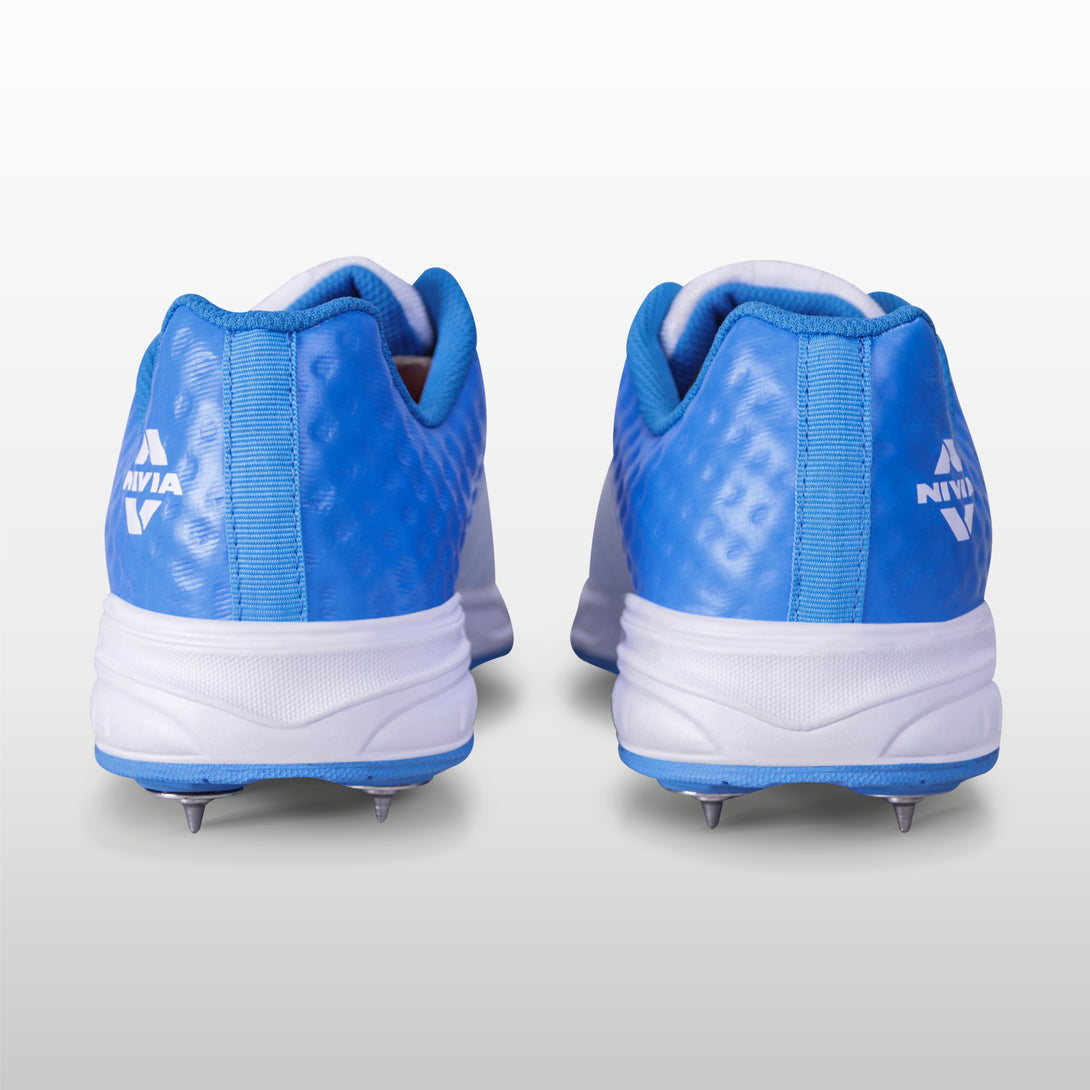 Aster Blue