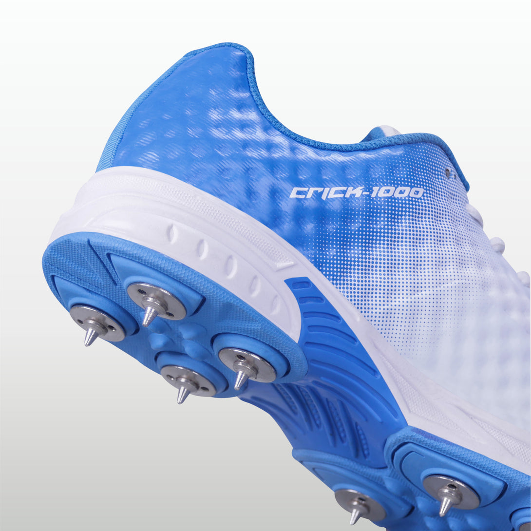 Aster Blue