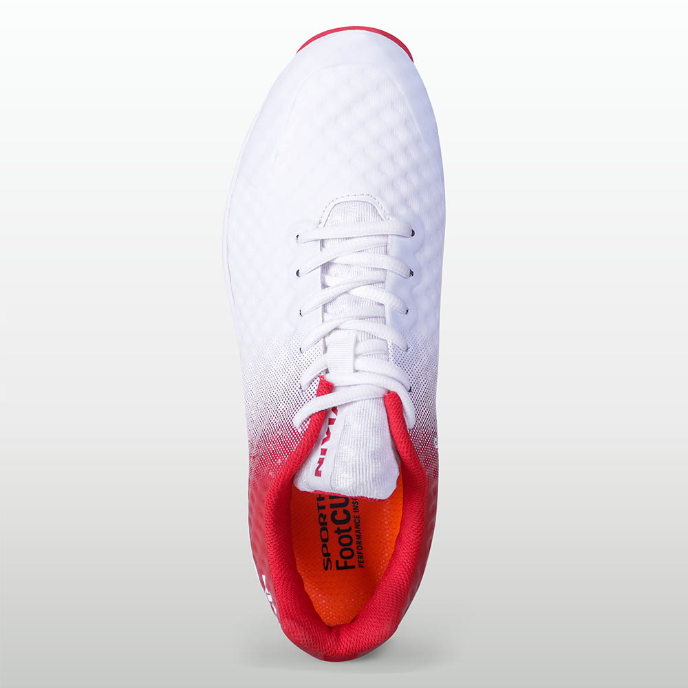 Aster Red