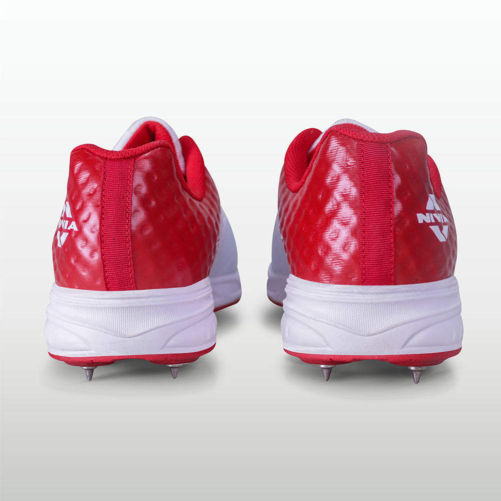 Aster Red