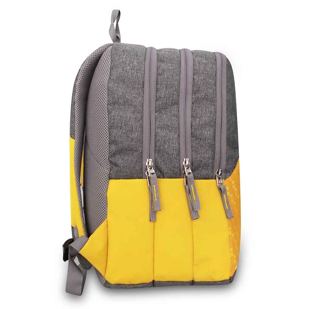 Grey-Yellow